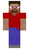 4796a7fb3bc89d minecraft skin