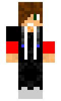 2585 minecraft skin