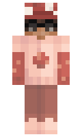 47a870dca353c5 minecraft skin