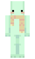 unlifted minecraft skin