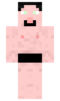 nikbot minecraft skin