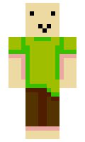 4806d4d38357e0 minecraft skin