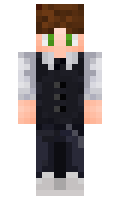 4819bbb743f450 minecraft skin