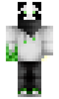 CreeperFarts minecraft skin