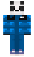 client minecraft skin