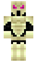 End1te minecraft skin