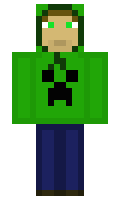 maddruid minecraft skin