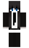 48d65c83c2365d minecraft skin