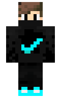 robin19 minecraft skin