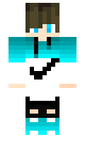 InducedPath9945 minecraft skin