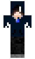 490135313750a3 minecraft skin