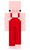 fhjbhs minecraft skin