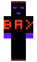 491b530bc91336 minecraft skin