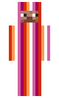 491c3623043dd5 minecraft skin