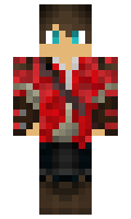 Terminator minecraft skin