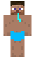 492a3eb5d3308f minecraft skin