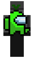 salamander773 minecraft skin