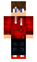 Paxterra minecraft skin