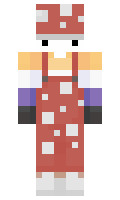 StRober minecraft skin