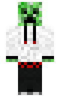 497628f269628e minecraft skin