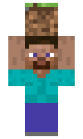 498805bdaef755 minecraft skin
