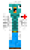 49ac1b9d81fd91 minecraft skin