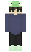 duarr minecraft skin