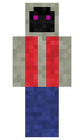 49bc411f5b5133 minecraft skin