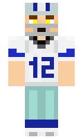 49c61087f7c084 minecraft skin