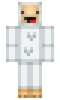 Nakashi minecraft skin