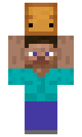 PykeNara minecraft skin