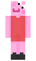 paw0k minecraft skin