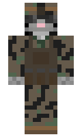 4a0d589d137a0a minecraft skin