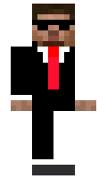 MiniZippi minecraft skin