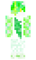 4a55b5fa52c18f minecraft skin