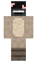 4a7be13e31efdc minecraft skin