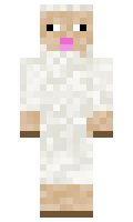 4aa4f72cc74a02 minecraft skin