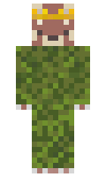 Bravenstar minecraft skin