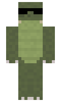 qtGator minecraft skin