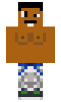 vmikw minecraft skin