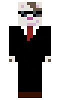 acepoke minecraft skin