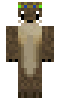 4ac8ccdd3f6370 minecraft skin