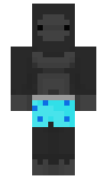 koppok minecraft skin