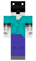 zBraan minecraft skin