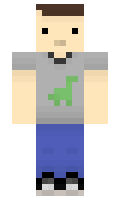 dinm minecraft skin
