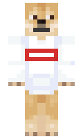 zx6v minecraft skin