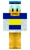 Regigiga minecraft skin