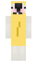 4b38f6f1b86299 minecraft skin