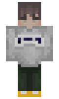 badpax minecraft skin