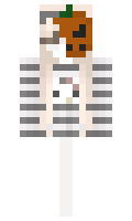 Tiger2fiyr minecraft skin